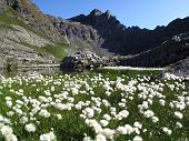 Da Lizzola salita al Pizzo Tre Confini (2828 m.), discesa in Val Cerviera > Lago del Barbellino > Rif Curò con rientro a Lizzola il 5 settembre 2009 - FOTOGALLERY